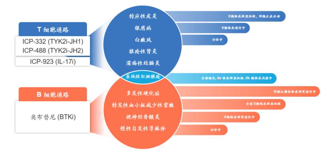 普元信息2024年分红落地，每股0.15元现金红利已到账