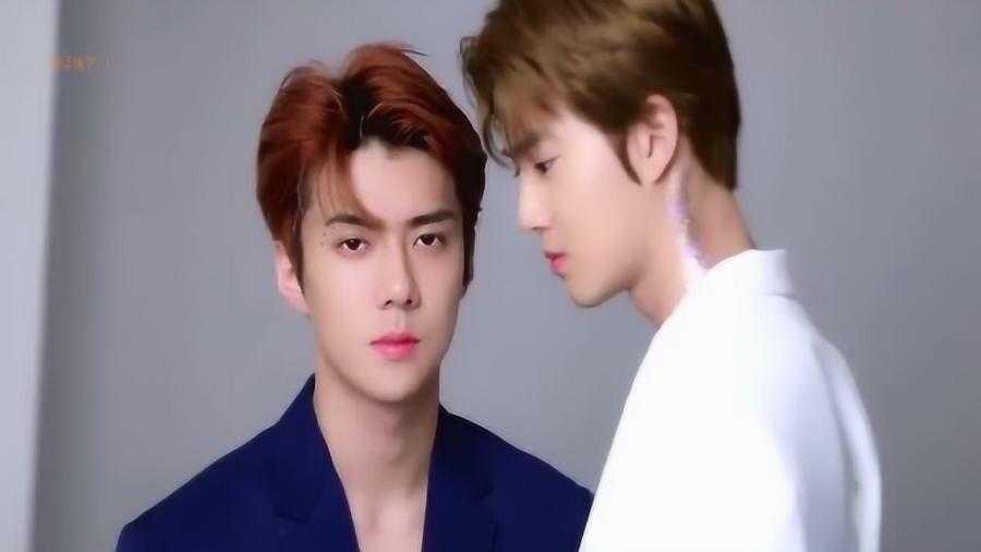 智能整理新伙伴，勋勉ai让资料管理变得轻松简单