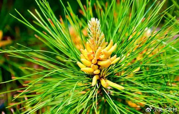 智能松针：当千年针灸遇上人工智能，会碰撞出啥火花？