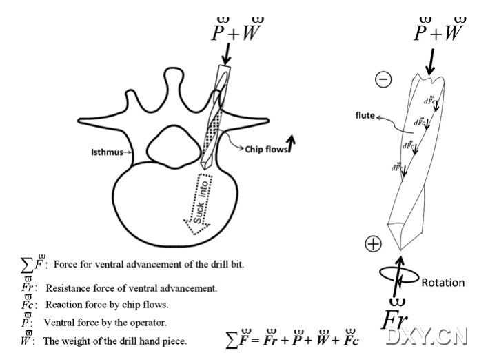 智能脊柱科技:让你的脊梁骨重新挺起来 智能脊柱科技:让你的脊梁骨重新挺起来