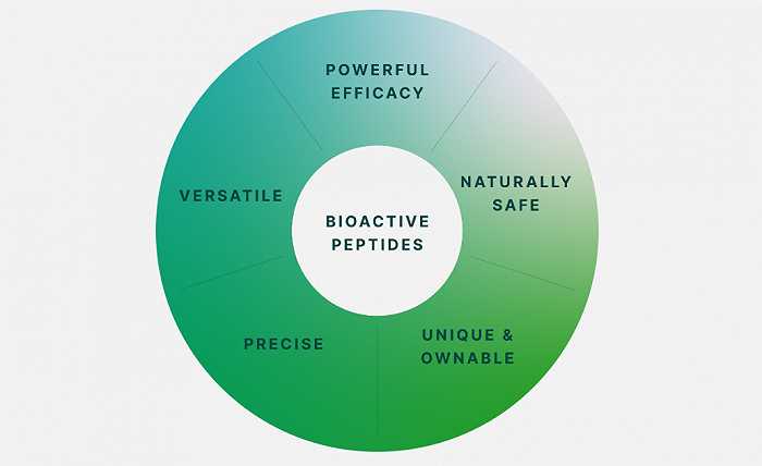 智能革新：AI如何重塑内容整理新体验