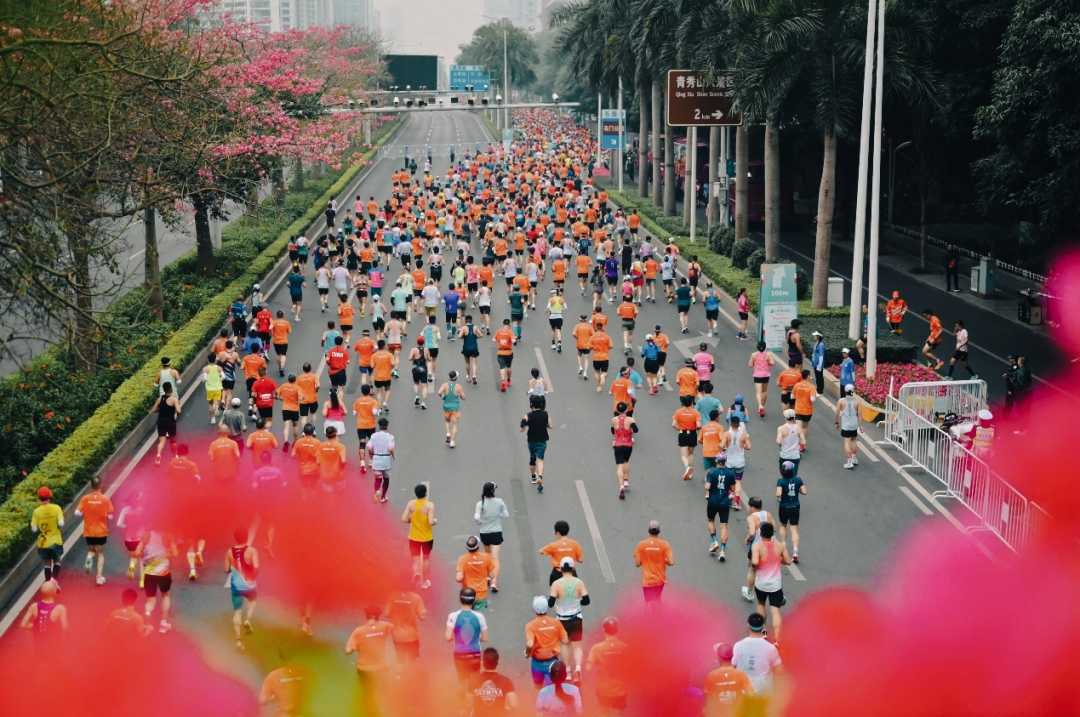 智能马拉松:AI学习路上的加速器与暖心伴侣 智能马拉松:AI学习路上的加速器与暖心伴侣