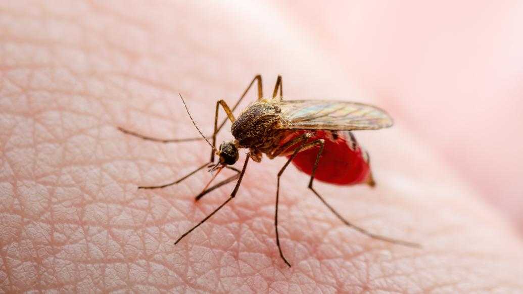 智能驱蚊新时代：AI蚊虫防控全攻略