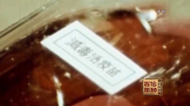 松林保卫战：把病害木头变成宝的炭化妙招