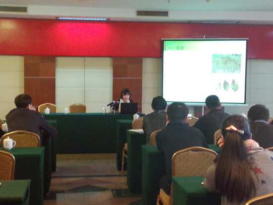 林业管理技术整理心经