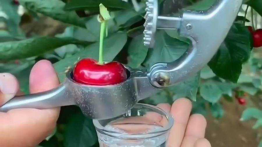 果汁AI工具带你轻松搞定信息混乱