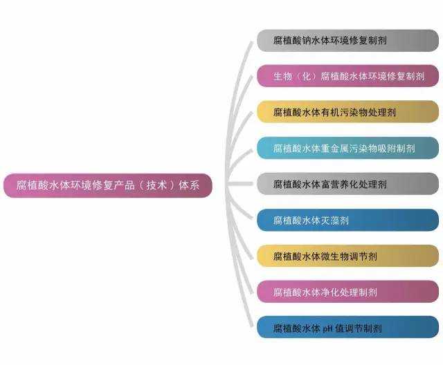 根系培育新纪元：懒人种菜也得心应手