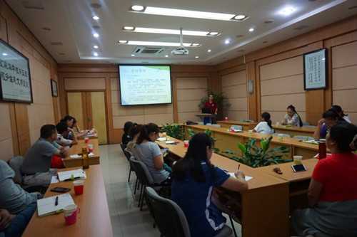 根系培育新纪元：懒人种菜也得心应手