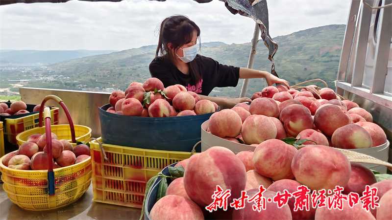 桃子保鲜有妙招，科技让鲜味不跑