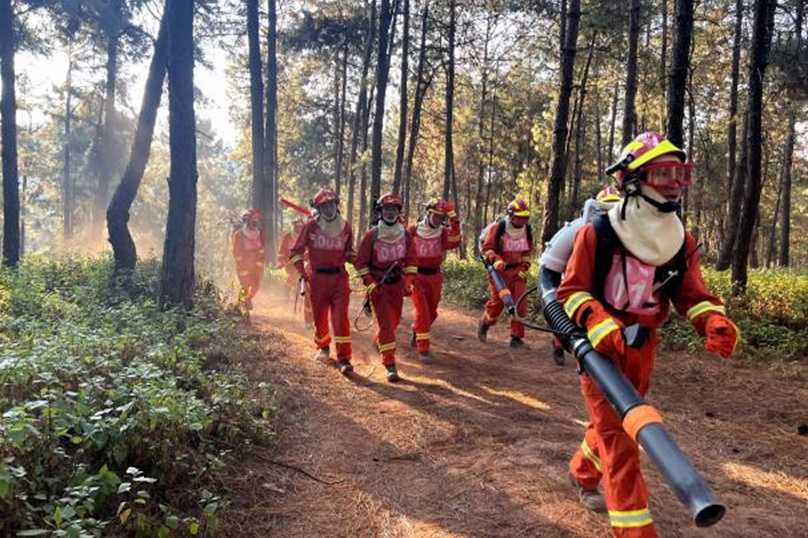 森林草原防火有新招,这些技术你知道几个?-第1张图片-正海烽科技 - 领先的只能推广行业,智能制造解决方案提供商 森林草原防火有新招,这些技术你知道几个?-第1张图片-正海烽科技 - 领先的只能推广行业,智能制造解决方案提供商