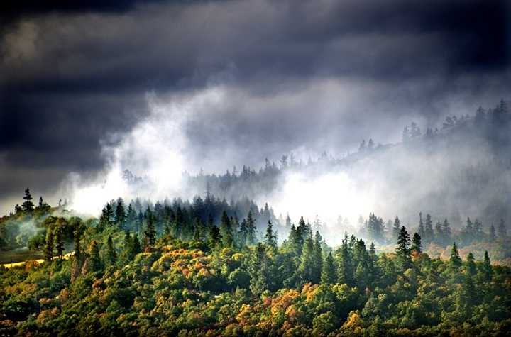 森林草原防火有新招,这些技术你知道几个?-第2张图片-正海烽科技 - 领先的只能推广行业,智能制造解决方案提供商 森林草原防火有新招,这些技术你知道几个?-第2张图片-正海烽科技 - 领先的只能推广行业,智能制造解决方案提供商