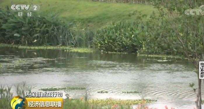 河道里的致富经:不用挖塘也能养好鱼虾 河道里的致富经:不用挖塘也能养好鱼虾