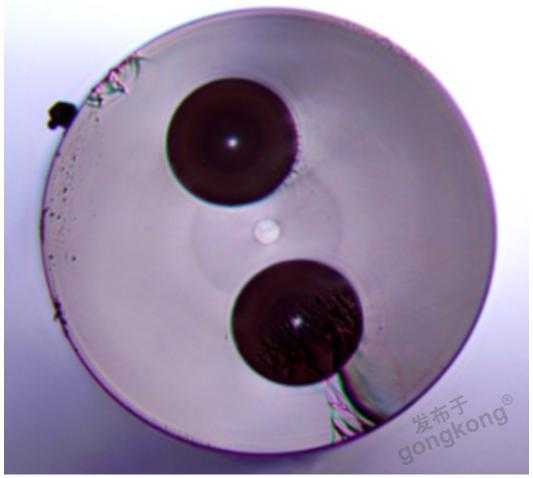 竹柳产业化未来路径解析