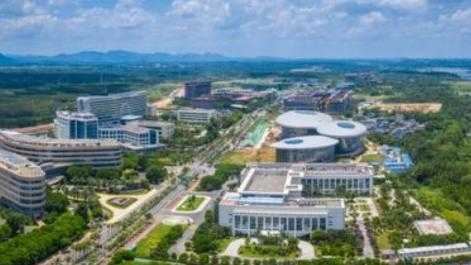 海南高新产业园：政策沃土如何孕育创新金果？