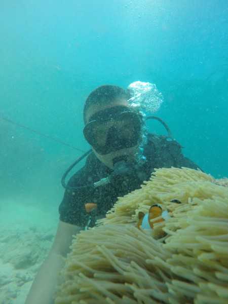 海龟跳舞AI：从想象到现实的科技魔法