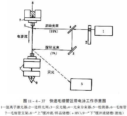 液相色谱联用技术的奇妙世界：让你实验不再抓瞎