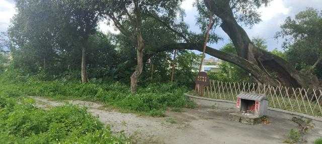 清远AI：从专利货架到智慧山水，一座城的数智新生