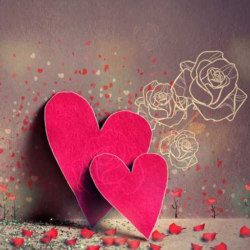 献给每一个想让世界下起花瓣雨的你