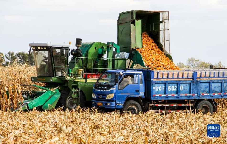 玉米地里来了钢铁帮手，全程机械化让种地更轻松-第2张图片-正海烽科技 - 领先的只能推广行业，智能制造解决方案提供商