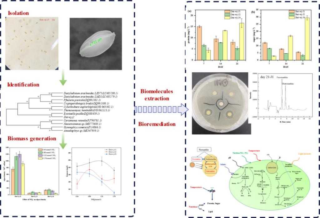 环境监测管理与技术杂志：一线人员的技术指南与创新源泉