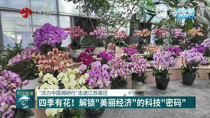瓶中农场的魔法：组培接种技术如何让植物“克隆”成真