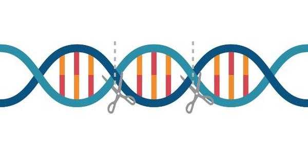 生命的修补匠：回望2017年基因修复技术的破晓时刻