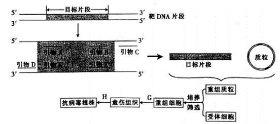 生物PCR技术原理大：从基础到实战全攻略