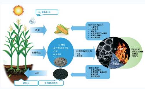 生物技术应用前景大