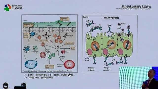 生物技术应用前景大