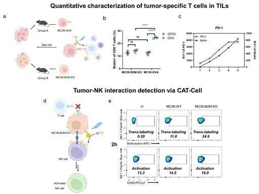 生物正交光催化技术：让细胞研究像拍照一样简单可控