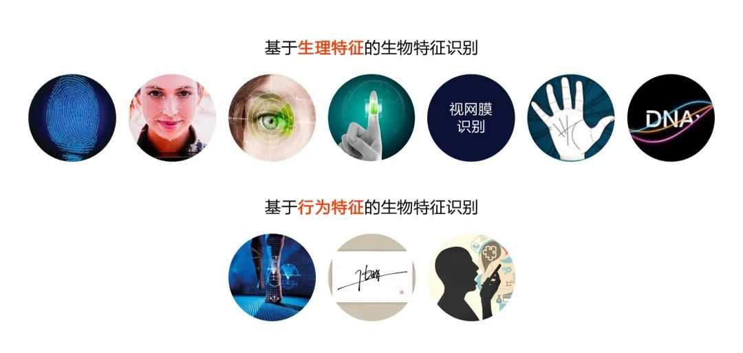 生物识别技术公司：让生活更安心更便利的隐形守护者