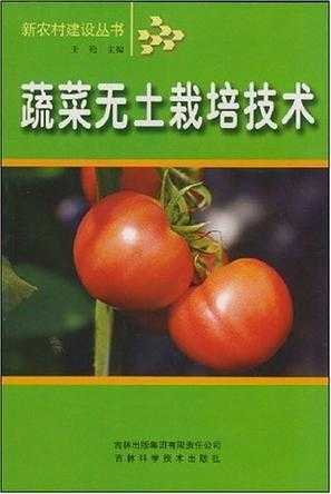 生菜无土栽培视频大全：从家庭DIY到工厂化生产手把手教你