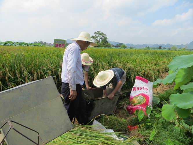田园清洁有妙招，科技助力焕新颜