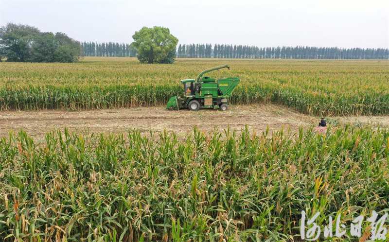 田垄间的“科技特派员”：走近为你排忧解难的农业技术服务者