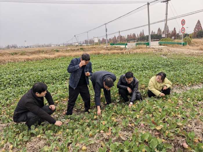 田垄间的“科技特派员”：走近为你排忧解难的农业技术服务者