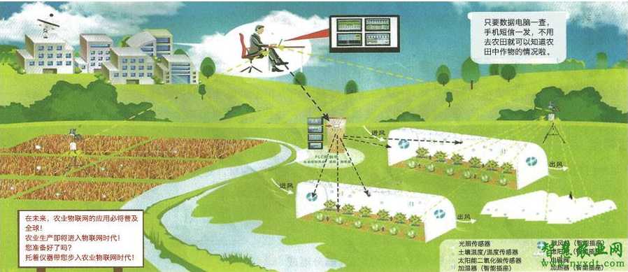 田里的小帮手，农业大智慧：聊聊微生物咋让庄稼长得更带劲