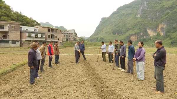 田间地头的智慧：农业技术人员的新挑战与新机遇