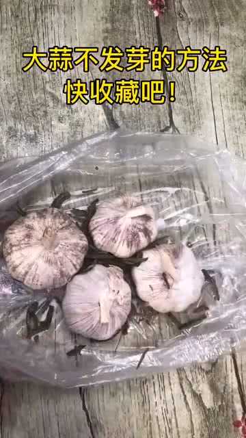 留住蒜香不犯难，剥皮大蒜保鲜有妙招