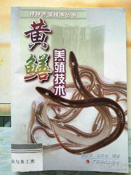 白鳝鱼养殖，从入门到精通的实战宝典