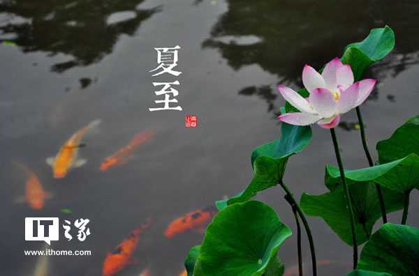 盛夏里的硬核科技：一家小城企业的材料突围记