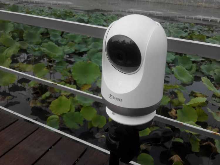 看家护院新招数:你的摄像头真的够“聪明”吗? 看家护院新招数:你的摄像头真的够“聪明”吗?