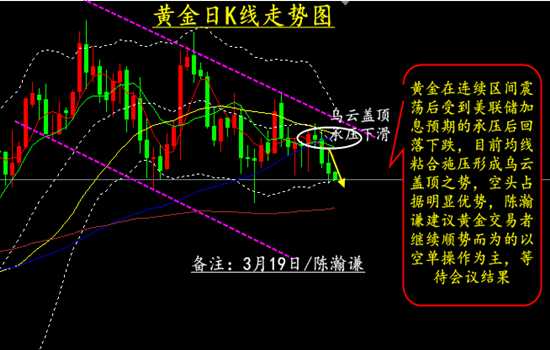 看懂中金技术面，散户不再“抓瞎”：从盯盘焦虑到心中有谱