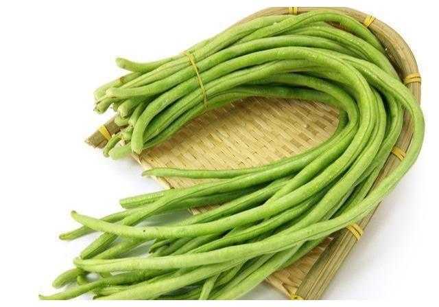 种儿菜总抽薹？老农藏了三十年的秘诀今天全抖出来