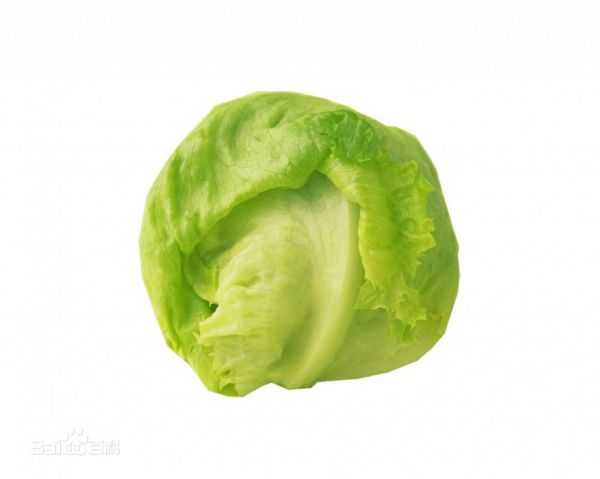 种圆生菜想赚钱？这几个窍门不藏私全告诉你