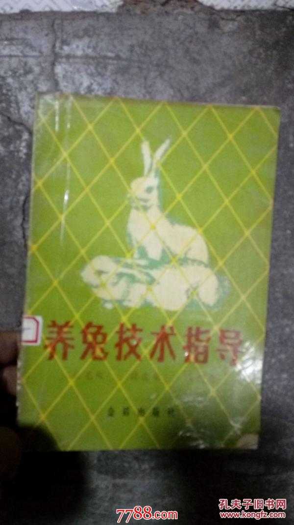 种草养兔实战经：从零开始打造你的兔草乐园