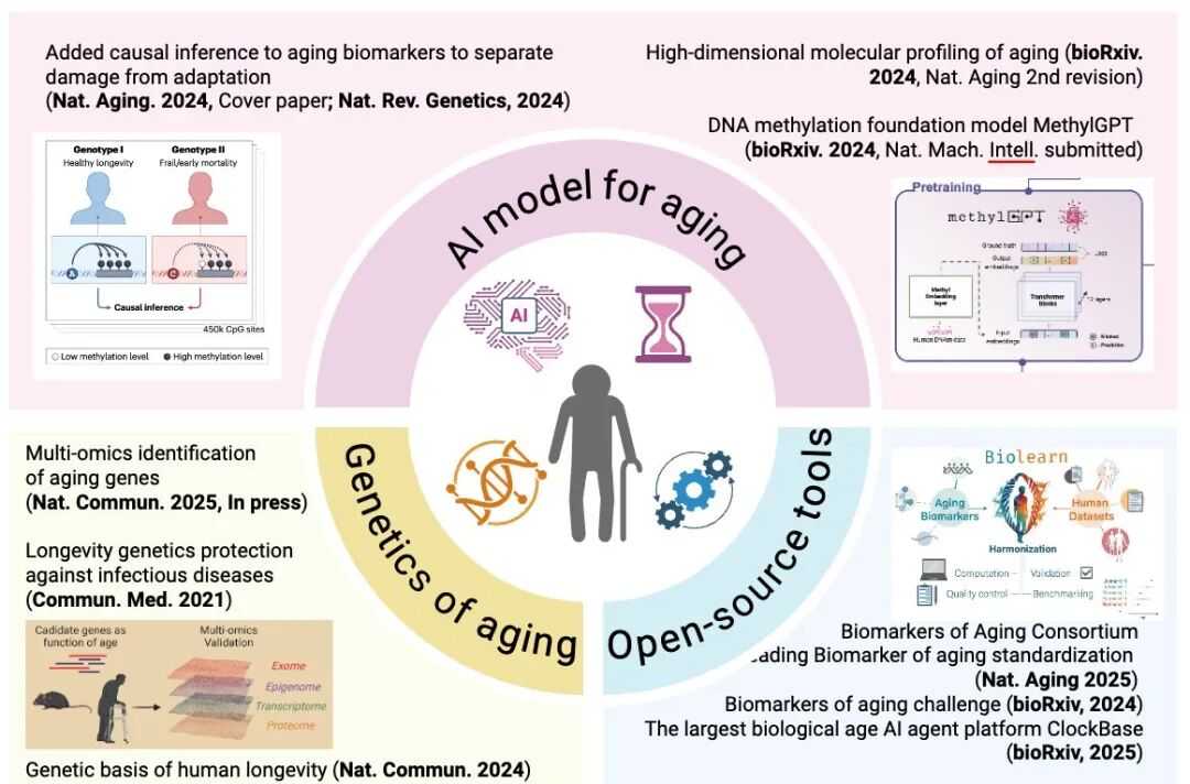科技延寿的新钥匙：当人工智能开始为你的身体“读秒”