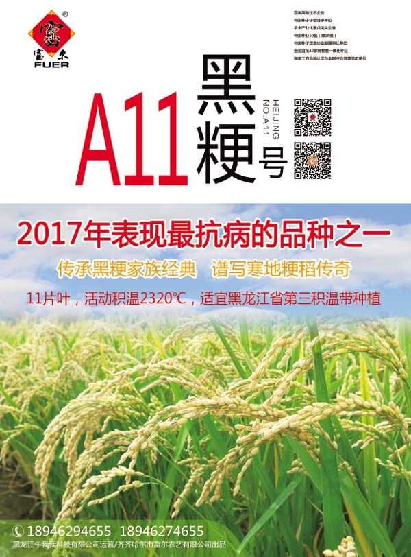 稻种催芽：老把式教你咋让种子蹦出芽儿来