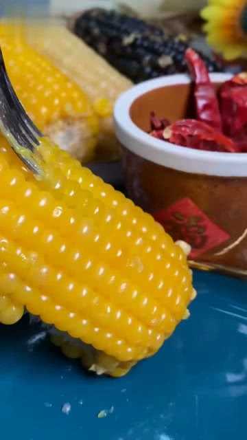 粘玉米种植手艺大公开保你丰收乐开怀-第2张图片-正海烽科技 - 领先的只能推广行业，智能制造解决方案提供商