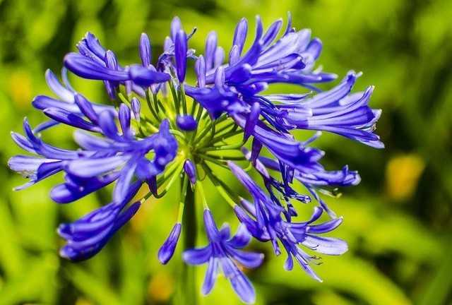 紫花智能助手带给我的惊喜变化 紫花智能助手带给我的惊喜变化