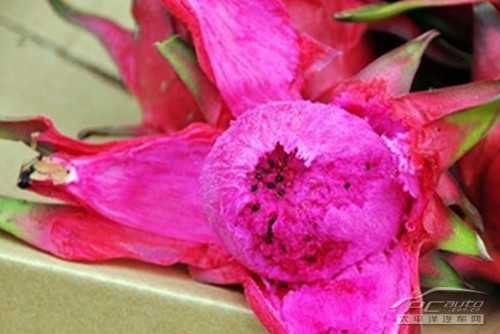 红甜菜种植全攻略 从选地到收获的实用技巧 红甜菜种植全攻略 从选地到收获的实用技巧